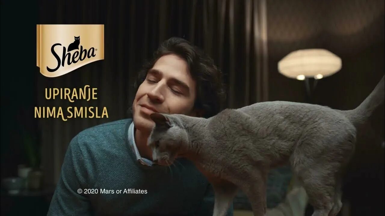 Реклама кошачьего. Реклама кошачий корм шеба. реклама шеба корм для кошек. реклама шеба &quot; сопротивление бесполезно &quot; 2025. реклама кошачьего корма шеба.