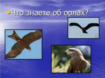 Лебедушка план 4 класс