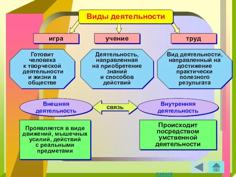 В обществе в том числе