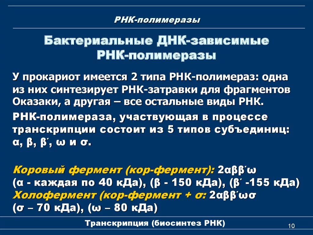 Осуществляется ферментом днк полимеразой. ДНК зависимые РНК полимеразы. Структура ДНК зависимой РНК полимеразы. ДНК-зависимая РНК-полимераза. Строение РНК полимеразы у прокариот.