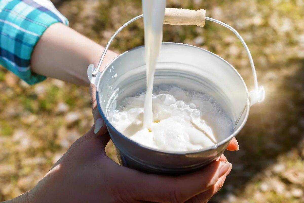 Стакан кефира. Milk ship. Молоко верблюда. Milk ship. Молоко мультяшный.