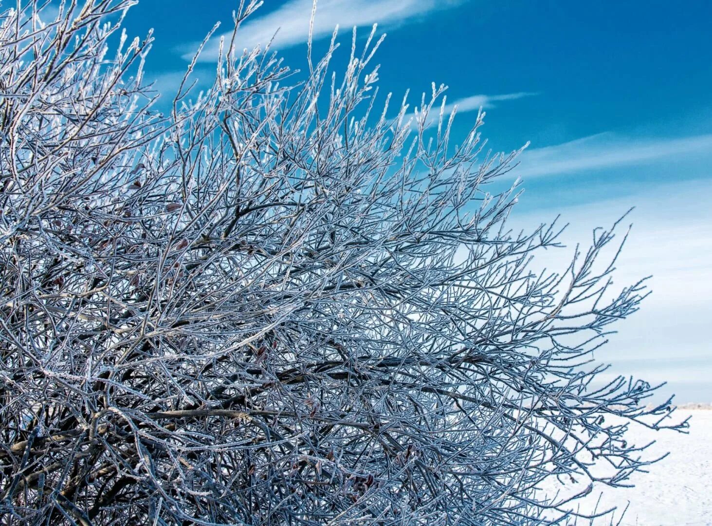 Синий синий иней текст. Голубой иней. Синий иней картинки. Иней синий иней синий иней синий. Синий синий иней на русском языке.