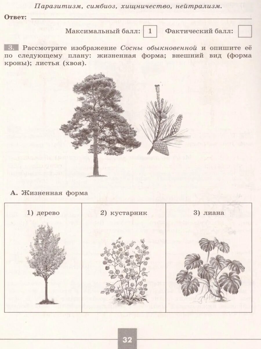 Решу впр биология 8 человек