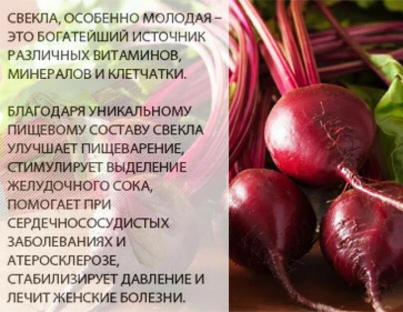 Красная свекла полезные свойства вареной. Свекла. Свёкла для организма человека. Свекла полезная для организма. Полезные свойства свеклы.