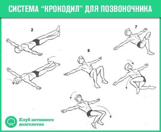 Зарядка крокодил Антипко комплекс упражнений. Зарядка крокодил для позвоночника Антипко. Упражнение крокодил для позвоночника доктора Антипко. Упражнение крокодил для спины. Упражнения крокодил при грыже