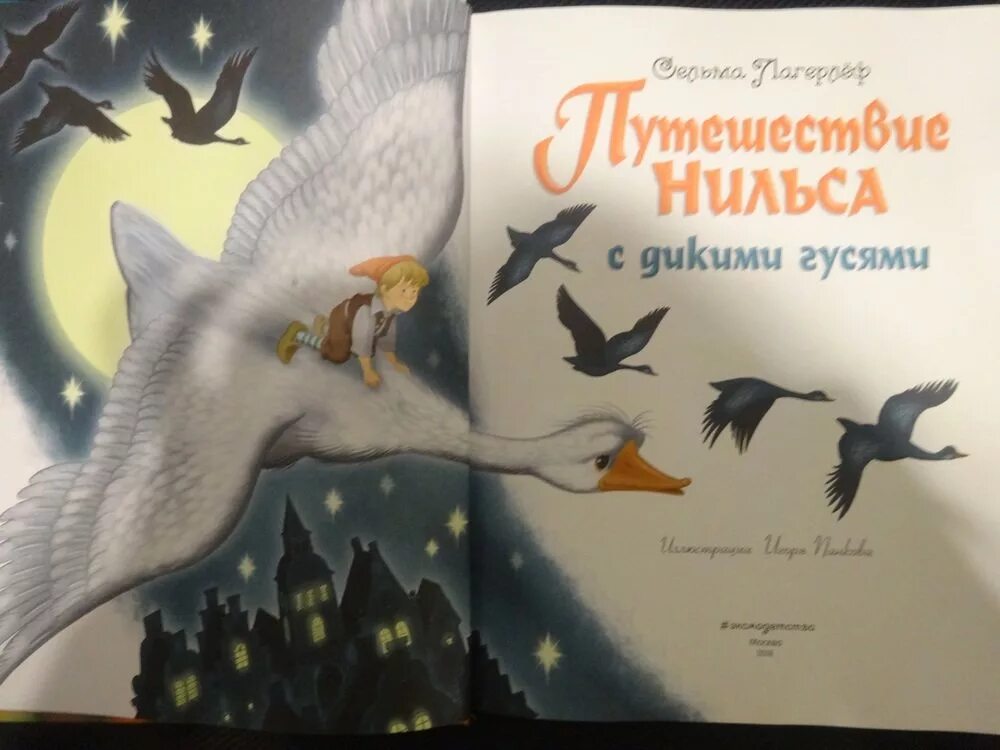 Путешествие Нильса с дикими гусями. Приключения Нильса книга. Чудесное путешествие Нильса с дикими гусями. Удивительное путешествие нильса с дикими гусями