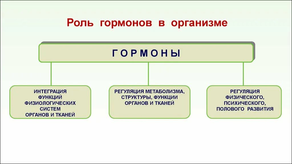 Роль гормонов в организме. Роль гормонов в интеграции функции организма. Биологическая роль гормонов. Сообщение на тему роль гормонов. Раскройте роль гормонов в обмене веществ росте