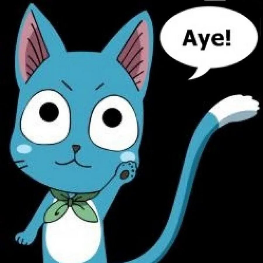 Хэппи хвост феи. Хвост феи кот хэппи. Аниме фейри тейл хэппи. Хэппи фейри тейл. Фейри тейл синий кот.