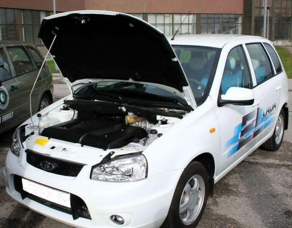 Электро калина ellada. Электрокалина. Электрокалина. Электрокалина. Электрокалина.