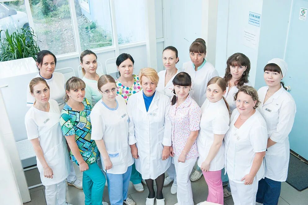 Красноказачья 10 ветклиника иркутск. Красноказачья 10 ветклиника иркутск. Красноказачья 10 ветклиника иркутск. Красноказачья 10 а иркутск. Красноказачья 10 ветклиника иркутск.