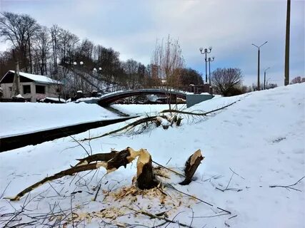 Бобр бай работа