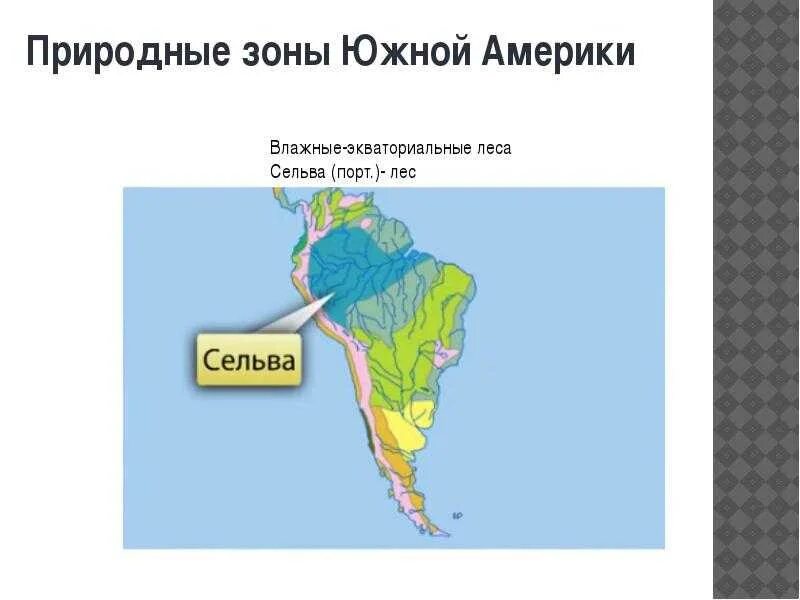 Выберите природные зоны южной америки. Влажные экваториальные леса Южной Америки на карте. Природные зоны Южной Америки Южной Америки. Зона влажных экваториальных лесов Южной Америки на карте. Экваториальные леса Южной Америки на карте.