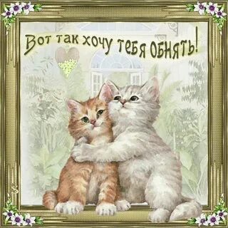 День ласкового котенка картинки с надписями