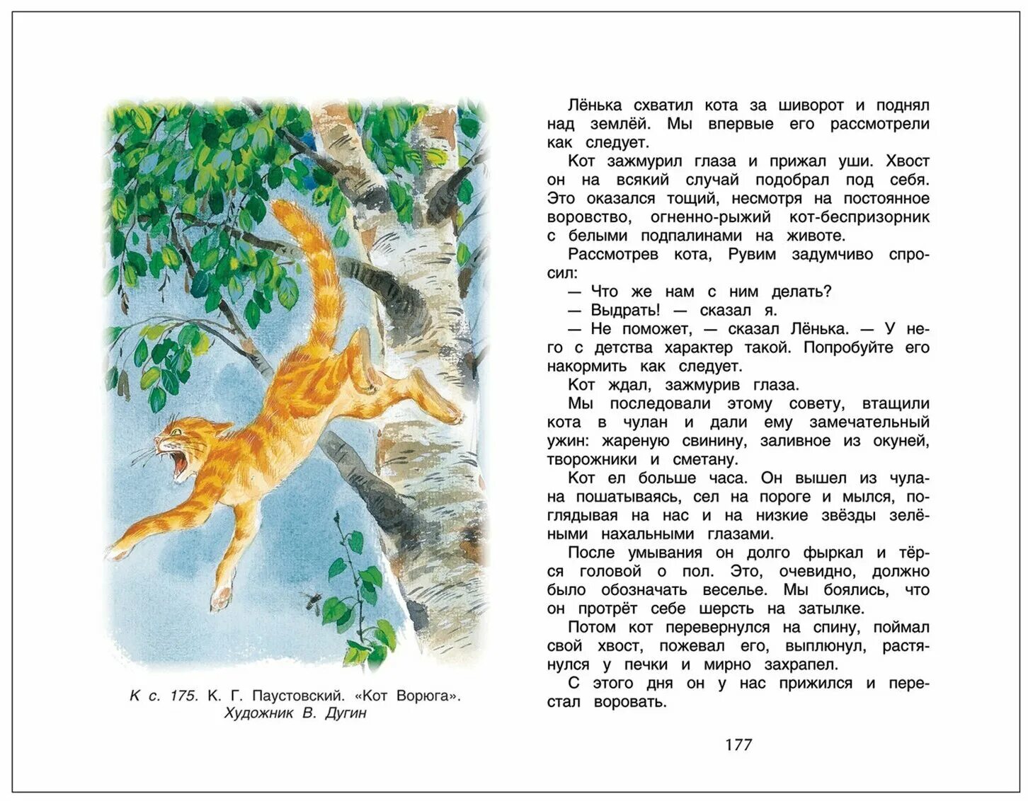 характеристика кота ворюги