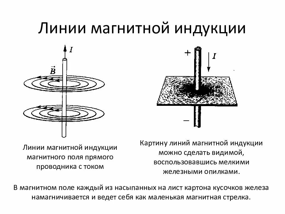 Линии магнитной индукции прямого проводника с током. Магнитное поле прямого проводника магнитной индукции. Магнитное поле прямолинейного проводника. Магн поле прямого проводника с током.