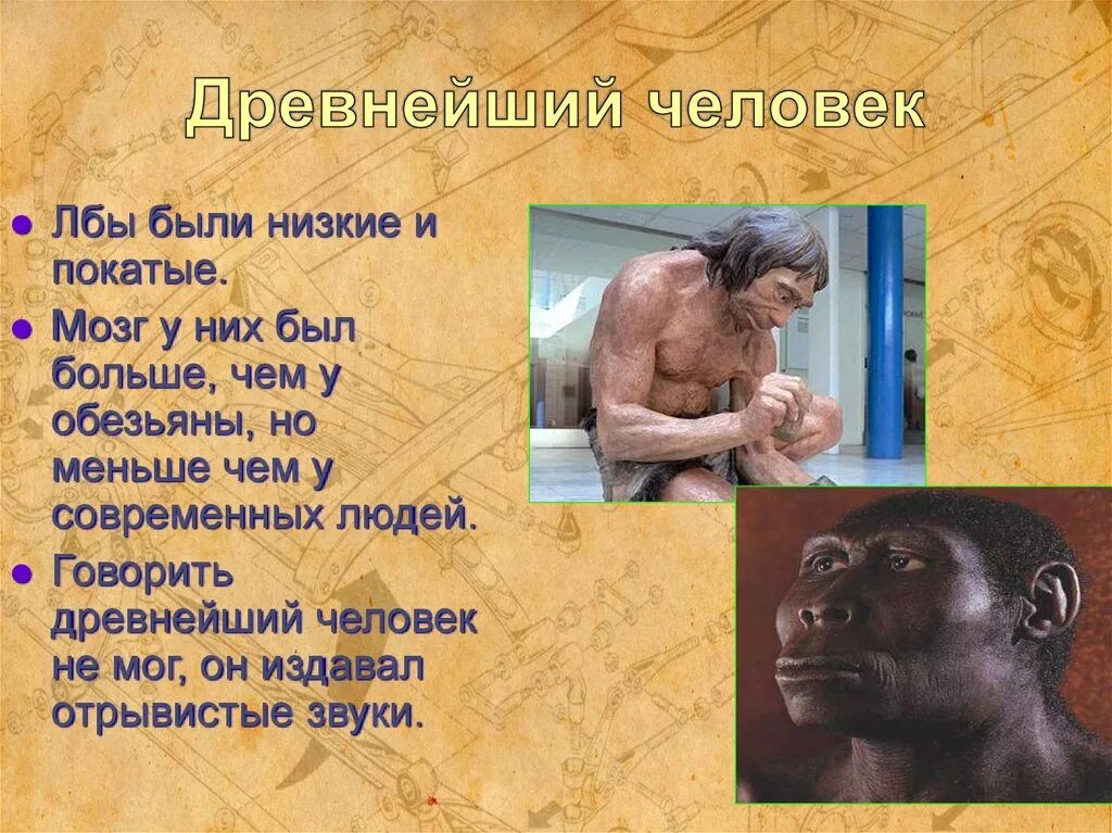Древний человек напоминал обезьяну. Начало истории человечества. Объем мозга древнейших людей. Древнейший человек напоминал обезьяну тем что у него были. Мозг древнего человека и современного