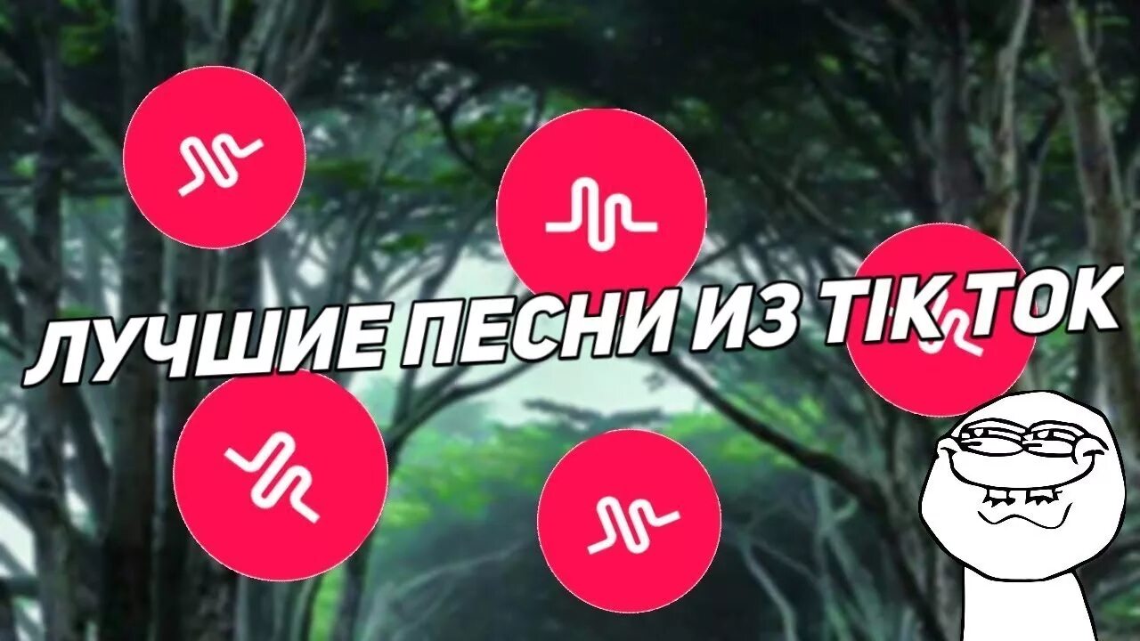 Песня зима тик ток. Тик ток музыкальные поздравления. Музыкальные поздравления из тик тока. ТИКТОК поздравления. Пожелания на день тик ток.