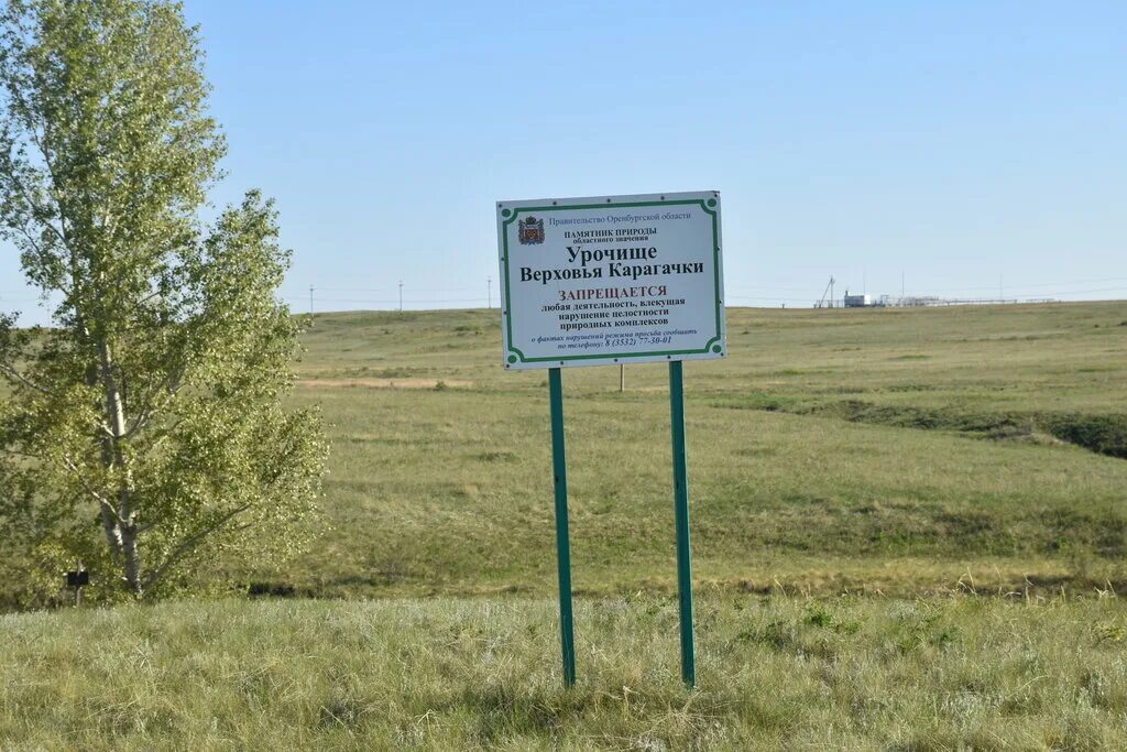 урочище моховое болото саратовская область. урочище филькино.