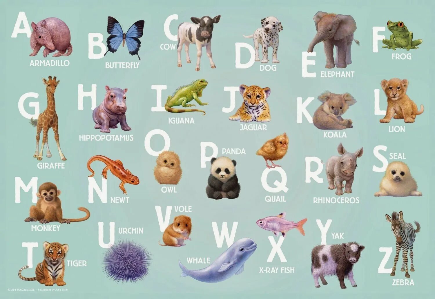 Азбука животных animals Alphabet. Английский алфавит с животными для детей. Животное на букву а. Животные по алфавиту для детей.