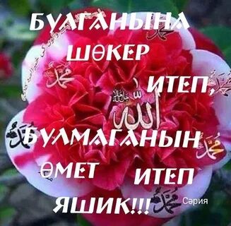 Яшик туган коннэрдэ