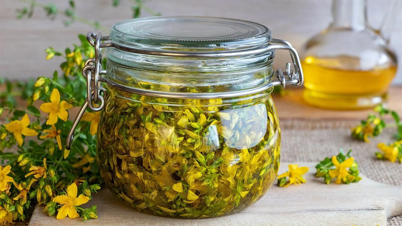 Как сделать масло зверобоя. Как сделать масло зверобоя