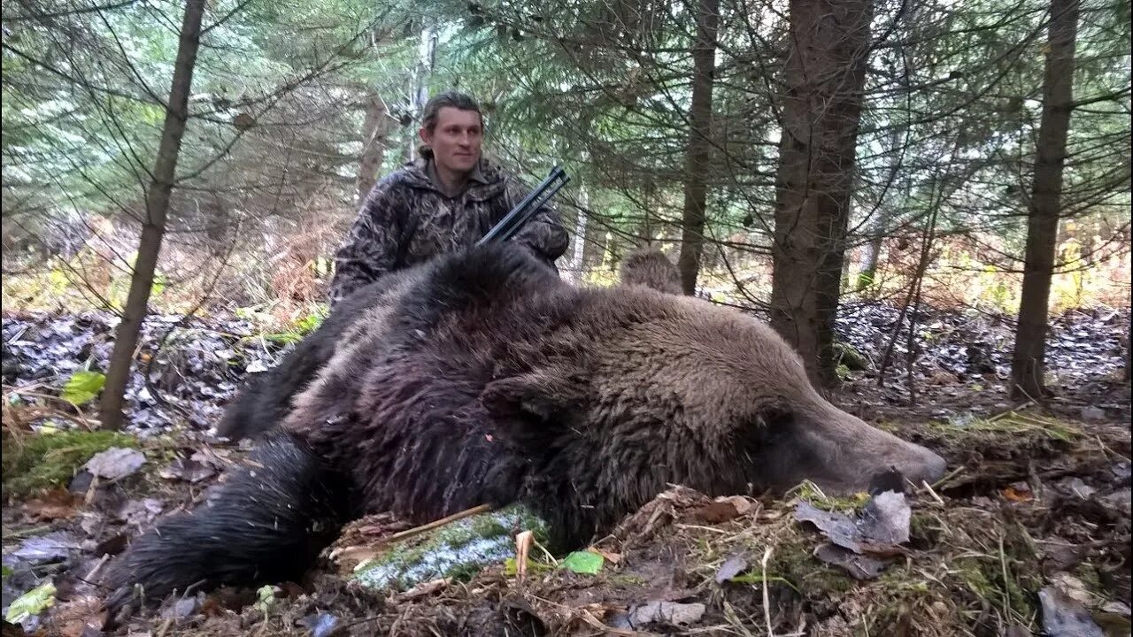 Охота на медведя 2. Охота на медведя с лайками в тайге Южного Урала. Охота с лайкой на медведя Сибирский охотник. Охота на медведя с лайками Западной Сибири. Охота на медведя с в тайге в Сибири.