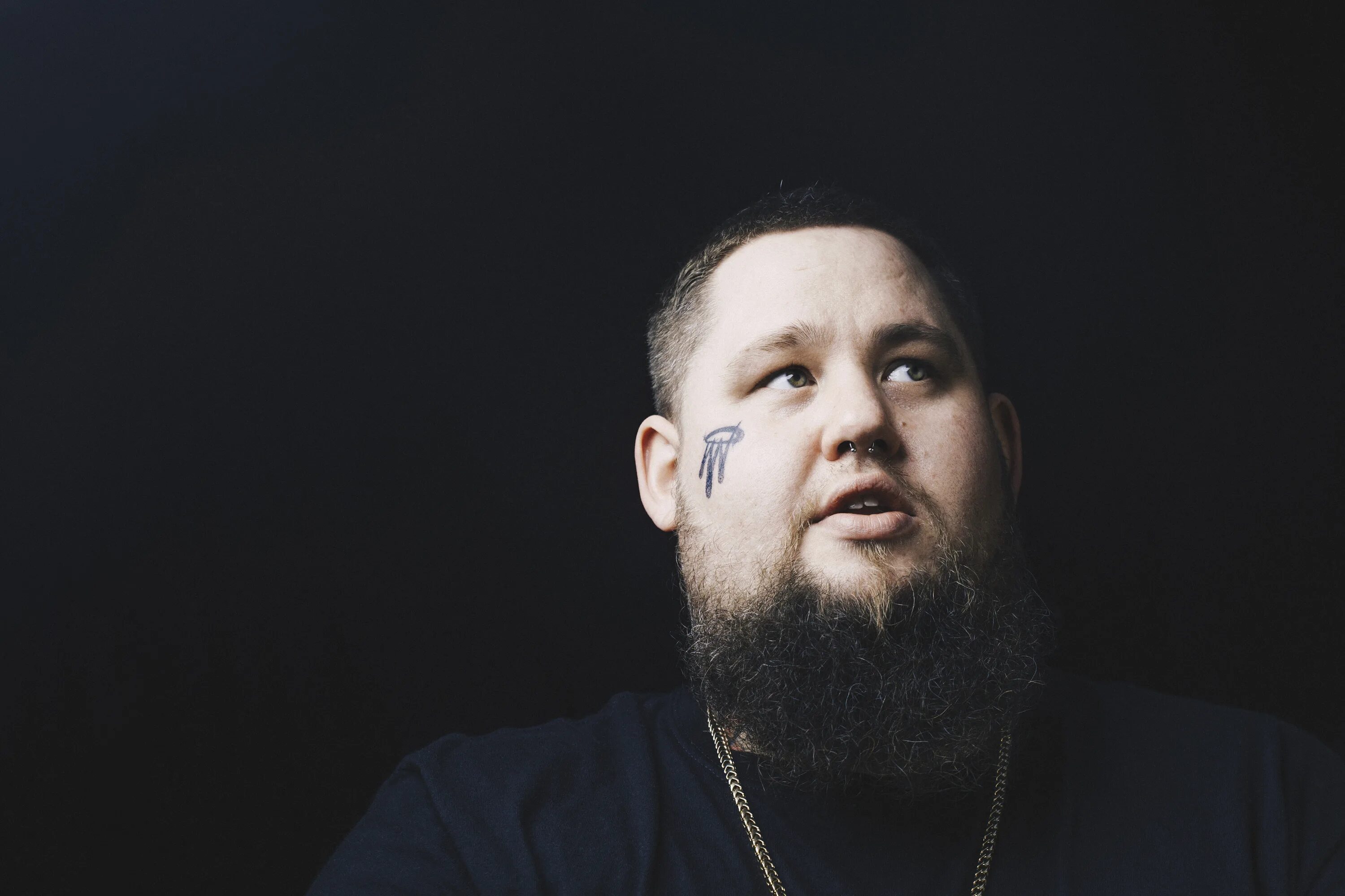 Skin rag n bone. Ragn Bone man. Rang n Bone man. Исполнитель Rag'n'Bone man. Rag'n'Bone man 2020.