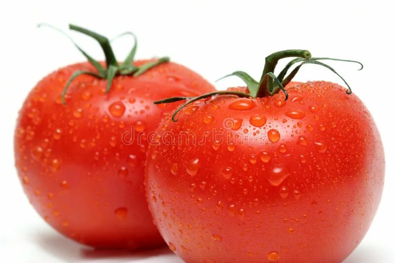 Томаты лоза. Томат марун. Vine Ripened Tomato. Фото двух помидоров. Two tomatoes