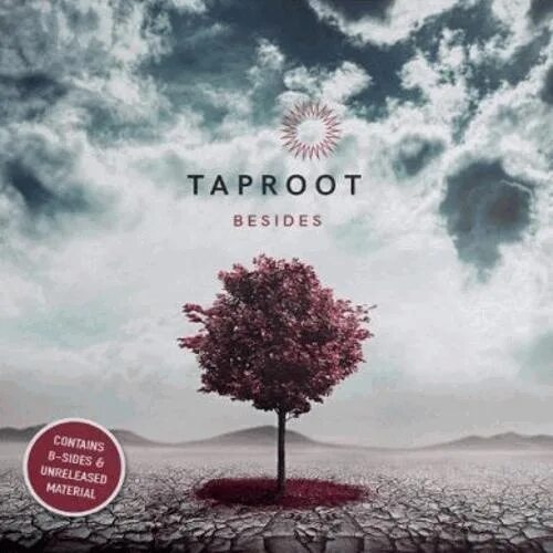 Сборник 2023 2024 слушать. Taproot. Besides * книга. The Taproot Wizards. Taproot Analysis.