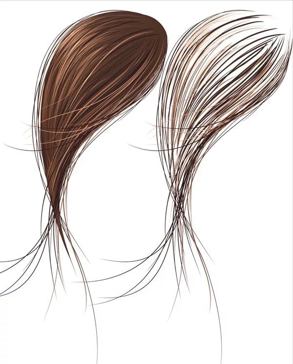 Рисуем волосы в иллюстраторе. Рисуем волосы в фотошопе. Векторное лицо девушки. Волосы в иллюстраторе. Девушка волосы вектор.