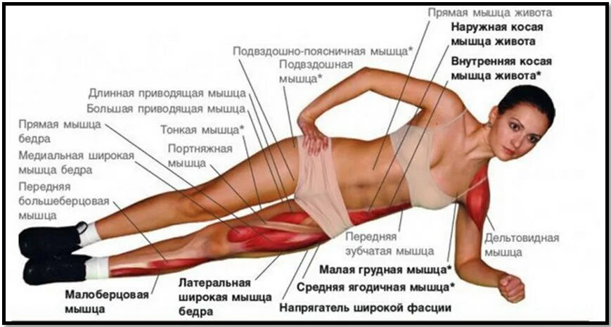 Как снять боковую планку Как делать боковую планку, чтобы получить стальной пресс Лайфхакер