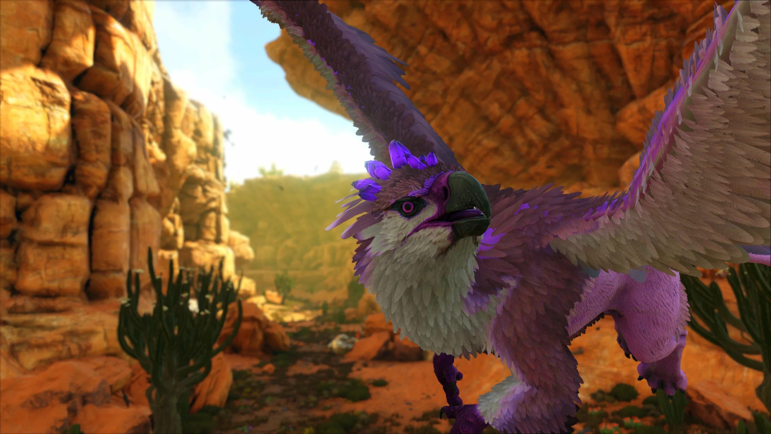 Грифон homm 5. Коды в griffin destiny. Griffon destiny roblox art. Судьба грифона коды. Griffins destiny.