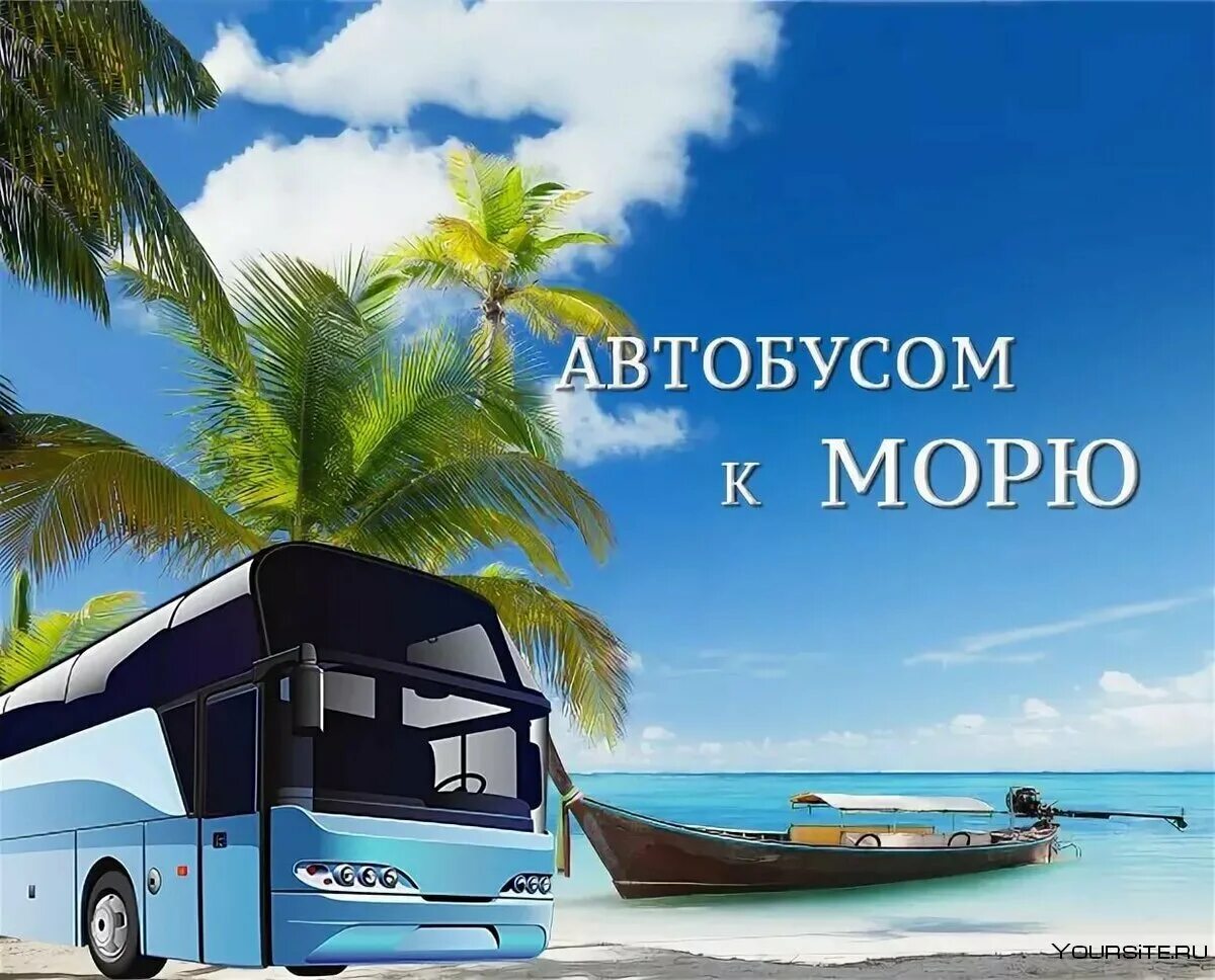 Новгород автобусные туры на юг. Автобус на море. Автобусом к морю. Автобусный тур на море. Автобусный тур на Юг.