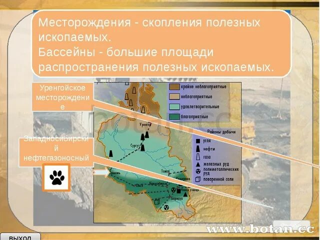 Платформам приурочены. Полезные ископаемые России месторождения. Месторождения и бассейны полезных ископаемых. Бассейны полезных ископаемых в России. Основные месторождения полезных ископаемых.