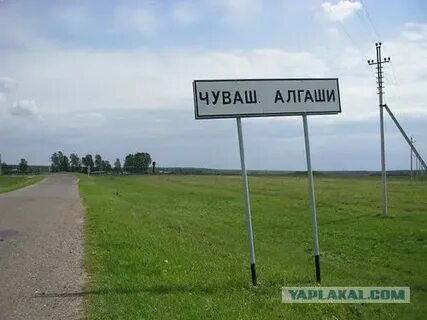 Чувашские алгаши