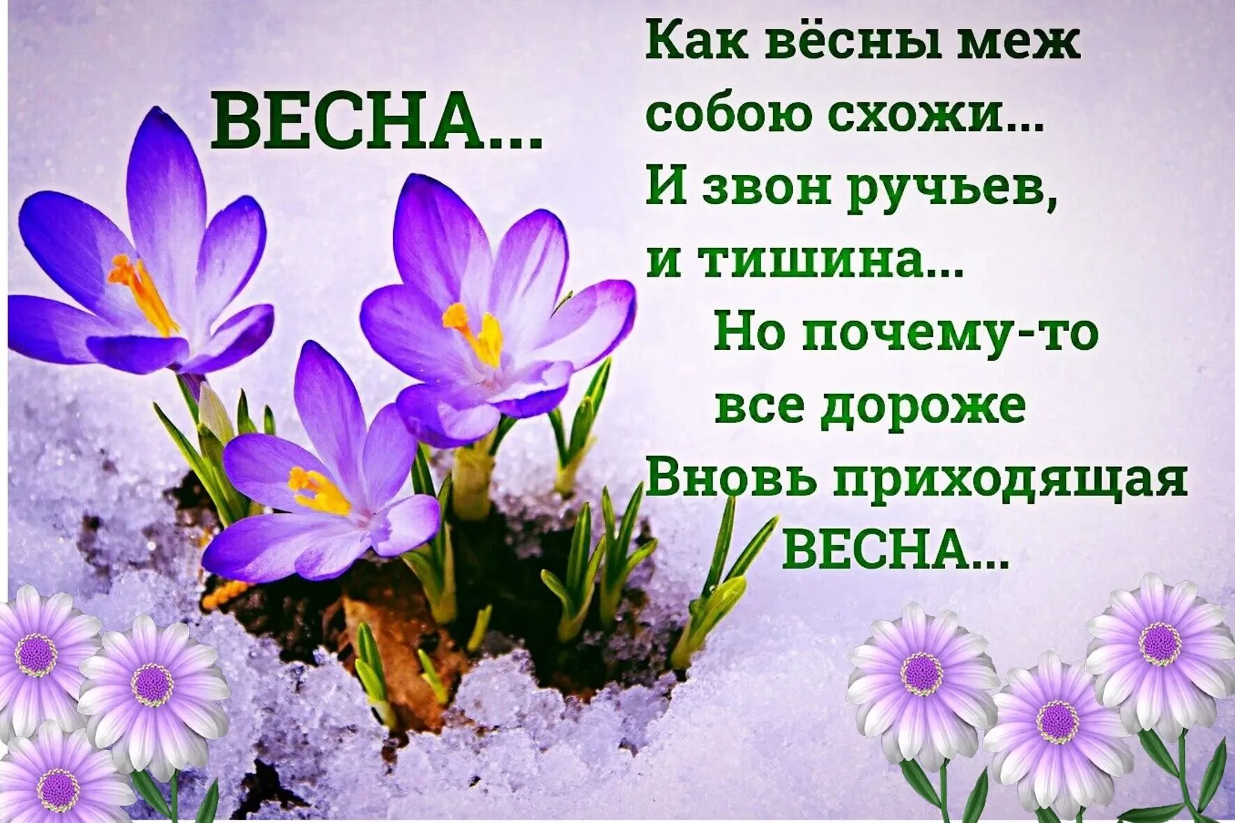 Стих про весну. Стихи про весну короткие. Стихи о весне короткие красивые. Душевный стих про весну