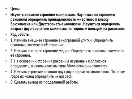 Исследование внешнего строения раковин пресноводных и морских