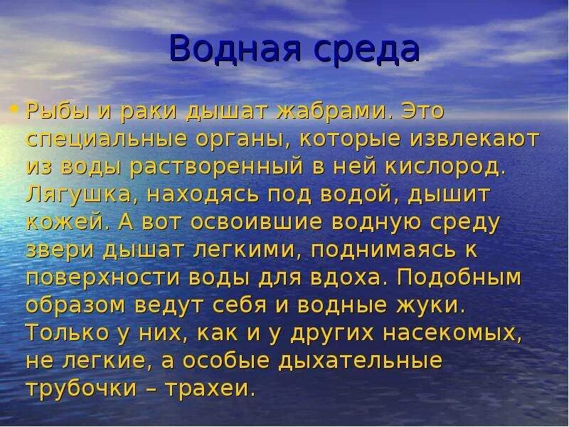 Доклад по биологии на тему среды обитания. Водная среда доклад. Среды обитания доклад. Доклад о среде обитания вода. Водная среда биология 5 класс.