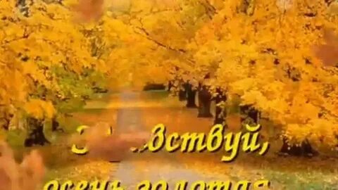 Пусть осень не кончается