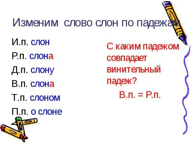 Измени по падежам синий океан. Просклонять слово слон по падежам. Изменить по падежам слово слон. Склонять по падежам слово слон. Слона какой падеж.