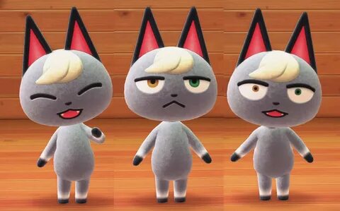 (Animal The new cat villager is named Raymond 21cm Animal Crossing Plush To...