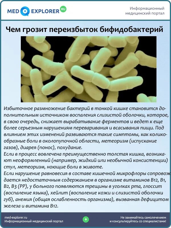 Бифидобактерии в кале. Бифидобактерии. Бактерии бифидобактерии. Бифидобактерии заболевания. Бифидобактерии и лактобактерии для кишечника.