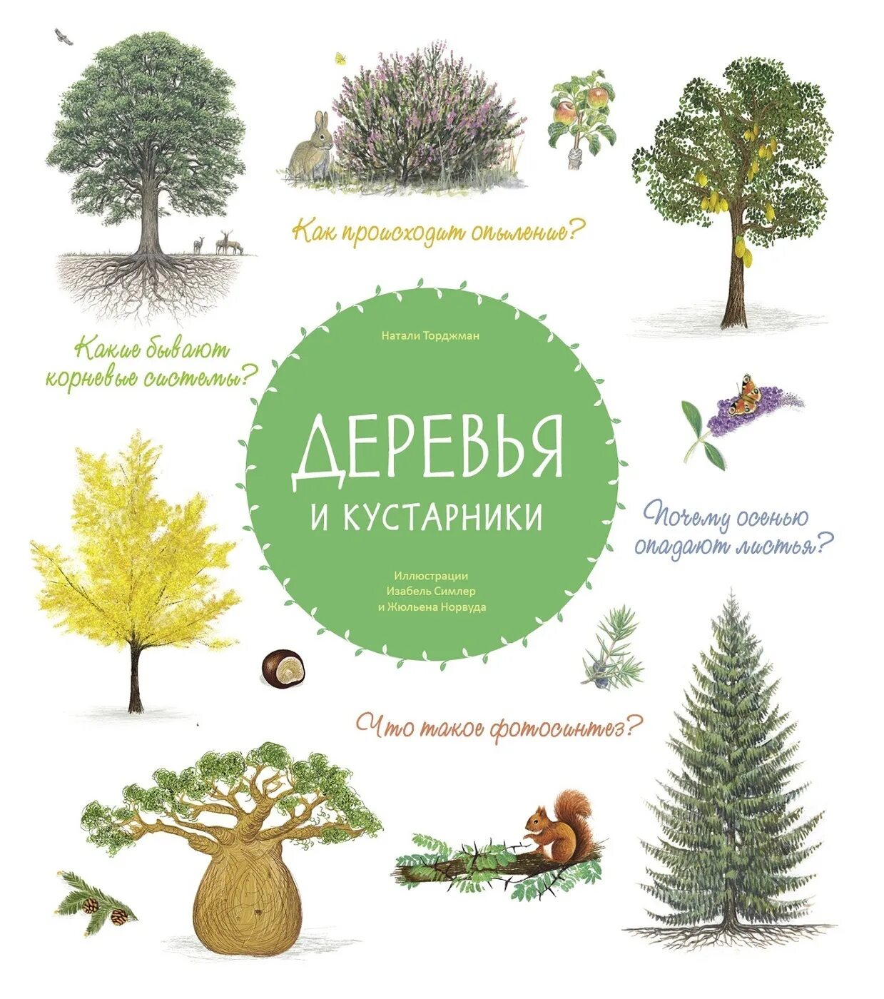 Названия научных деревьев. Книга деревья и кустарники. дерево с книгами. энциклопедия деревьев. энциклопедия дереьвер.