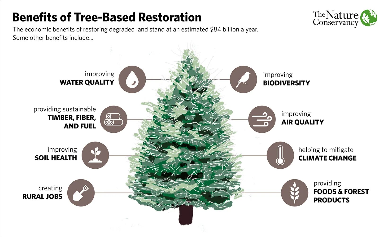 Some benefits. Предложения со словом benefit. Why are Trees important. Save Tree co2 climat. Какие могут быть benefits.