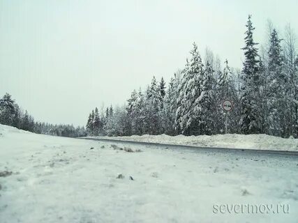 Погода на севере