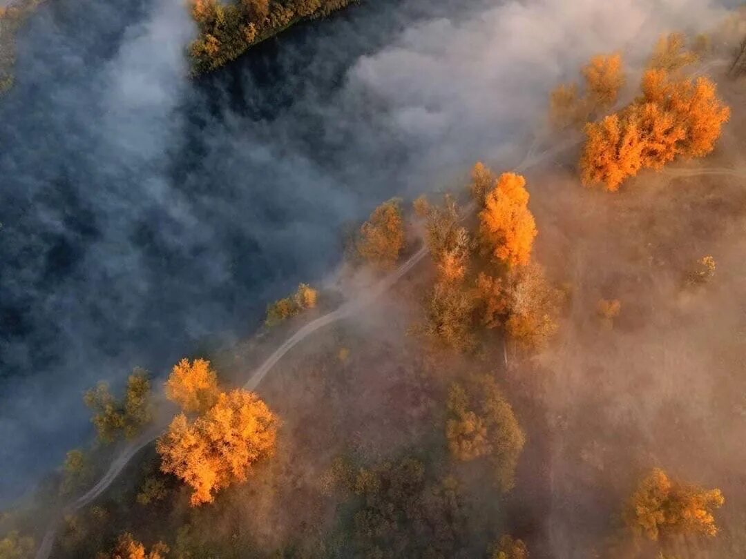 Река сок Новосемейкино. Старосемейкино сок.