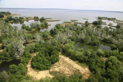 Великий луг