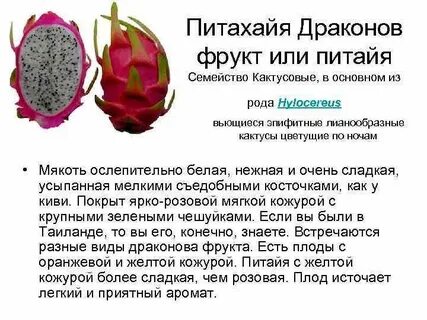 Питахайя фрукт как есть польза