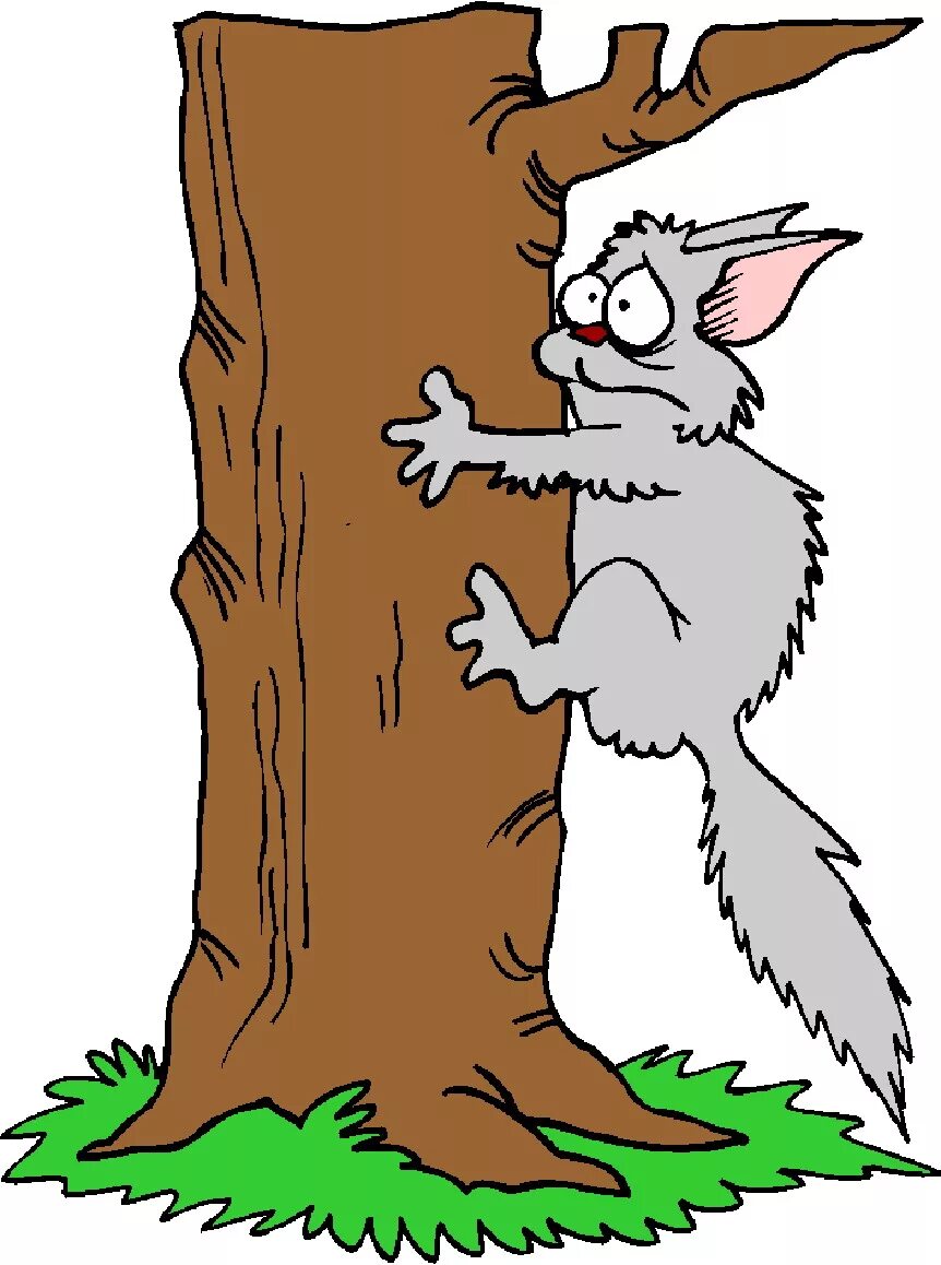 Can your climb a tree
