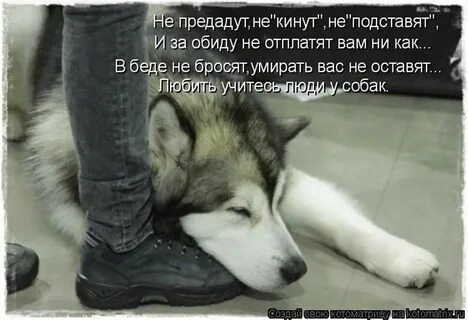 Обижать мне больше некого